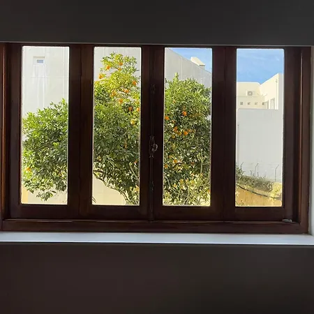 Yellow 旅馆 阿威罗