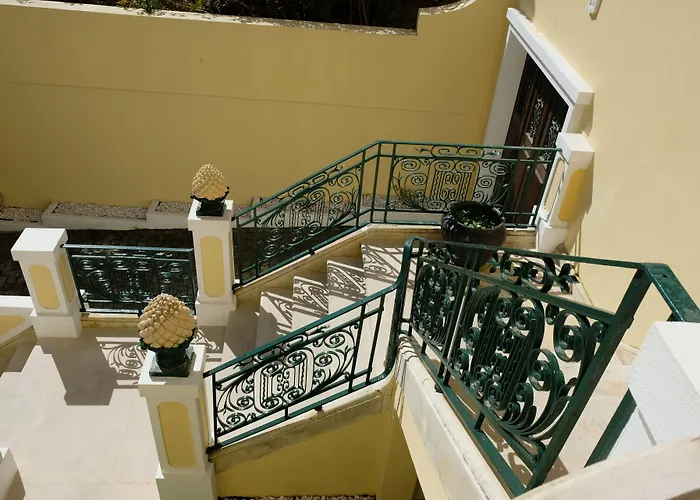 Yellow Auberge de jeunesse